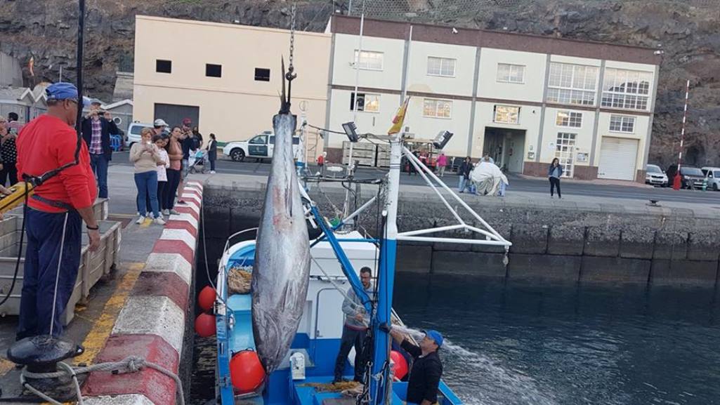 El Gobierno canario reclama protección para la flota artesanal en el nuevo régimen pesquero de la UE