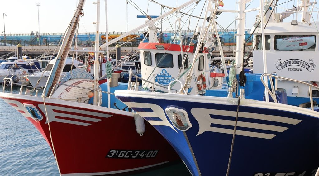El Ministerio de Agricultura, Pesca y Alimentación abre a partir del 20 de enero la campaña de atún rojo en Canarias