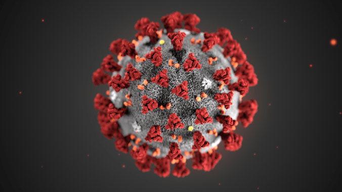 La Gomera registra este sabado nueve casos nuevos de coronavirus, y se situa en 44 activos