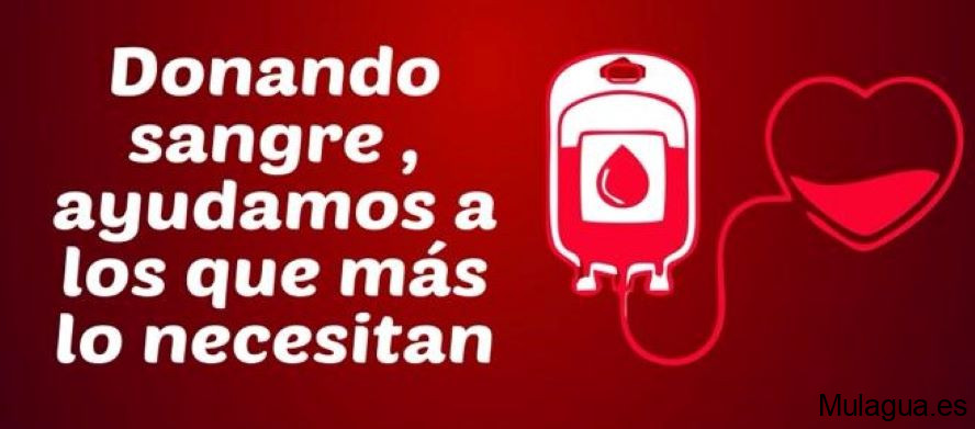 El PSOE de La Gomera pone en marcha la campaña de donación de sangre ‘En esta Navidad, de corazón a corazón’