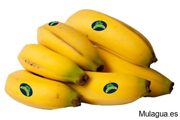 El Ministerio de Agricultura, Pesca y Alimentación apoya la campaña de promoción del plátano de Canarias